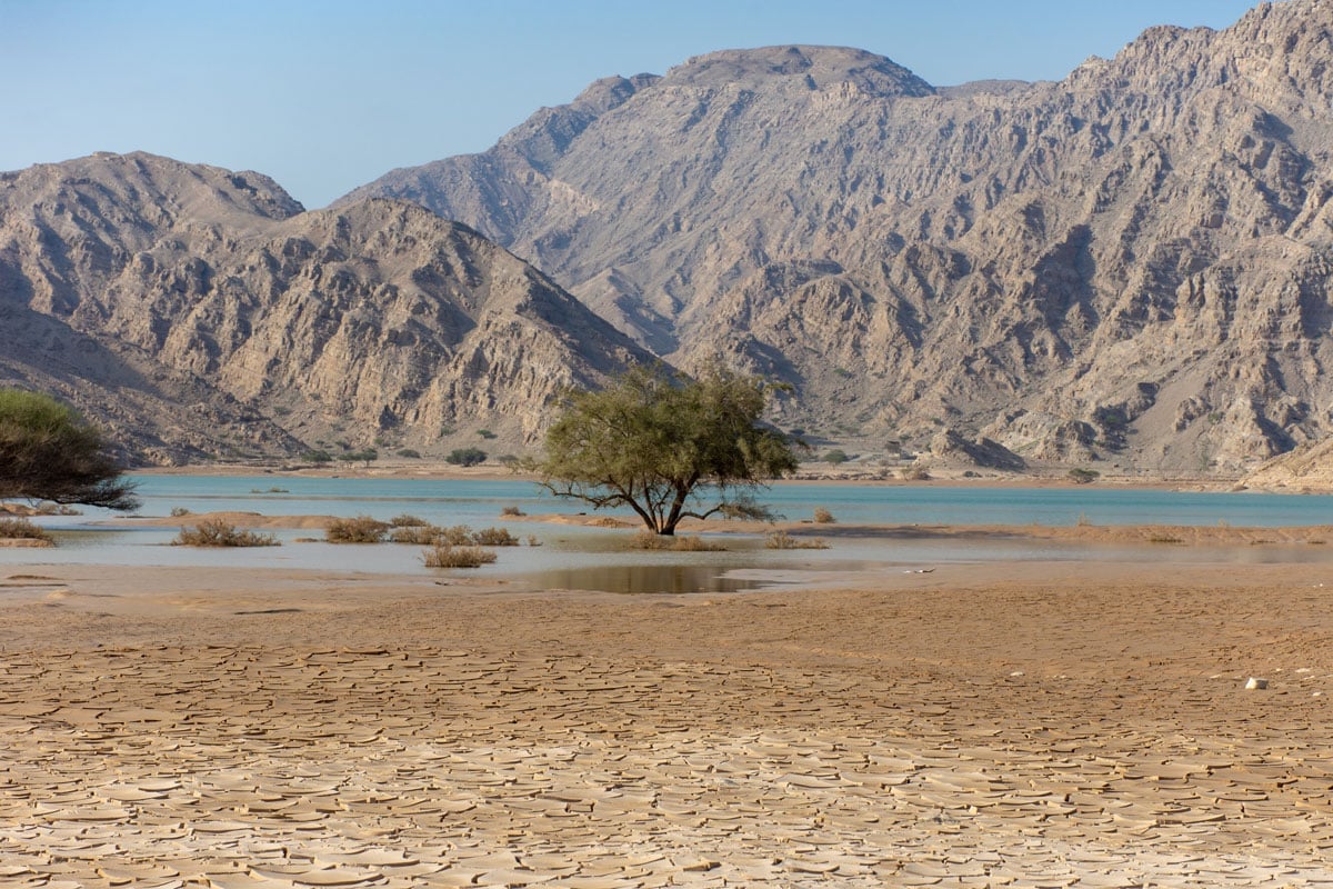 True Cost of Water