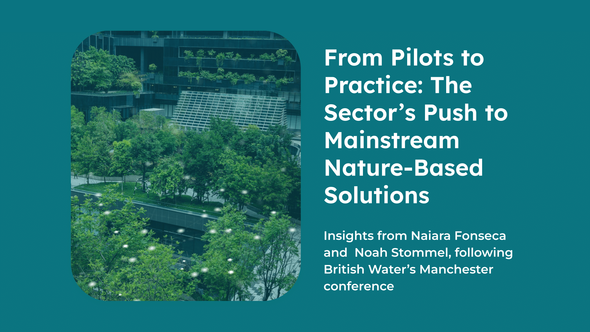 nature-based solutions in water sector